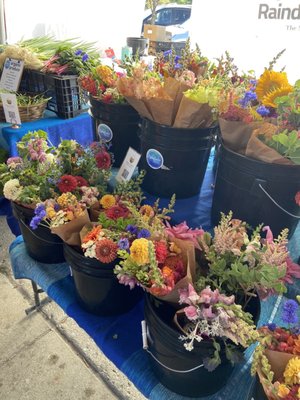 Ann Arbor Farmers Market by null