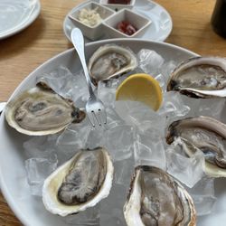 Main + Lincoln - Amazing Oysters