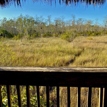 Kirby Storter Roadside Park - Parks Near Me - Ochopee, Florida