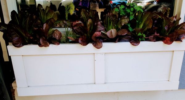 Kamp by null Kamp by null