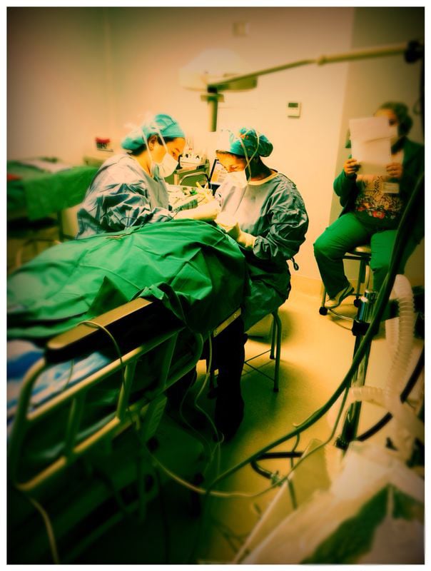 Dra. Carolina Valencia