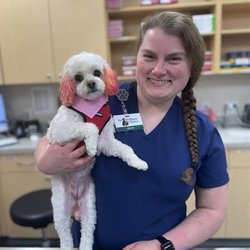 Ingalls Pet Wellness Clinic