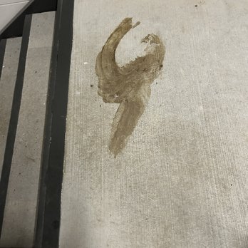 Lincoln at Dilworth - Dog poop in the stairwell - Apartments Near Me - Charlotte, North Carolina