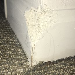 Chewed up corner of the wall Chewed up corner of the wall