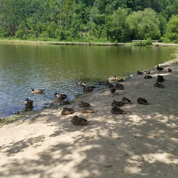 McAlpine Creek Park - Parks Near Me - Charlotte, North Carolina McAlpine Creek Park - Parks Near Me - Charlotte, North Carolina