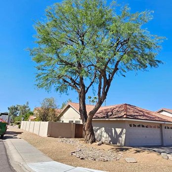 Power Green Landscaping LLC & Tree Service - a tree in front of a house - Landscaping Near Me