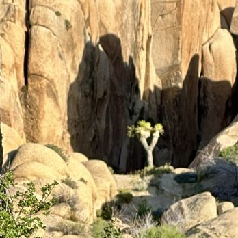 Joshua Tree Workshops - Solo Joshua Tree - Photography Classes Near Me