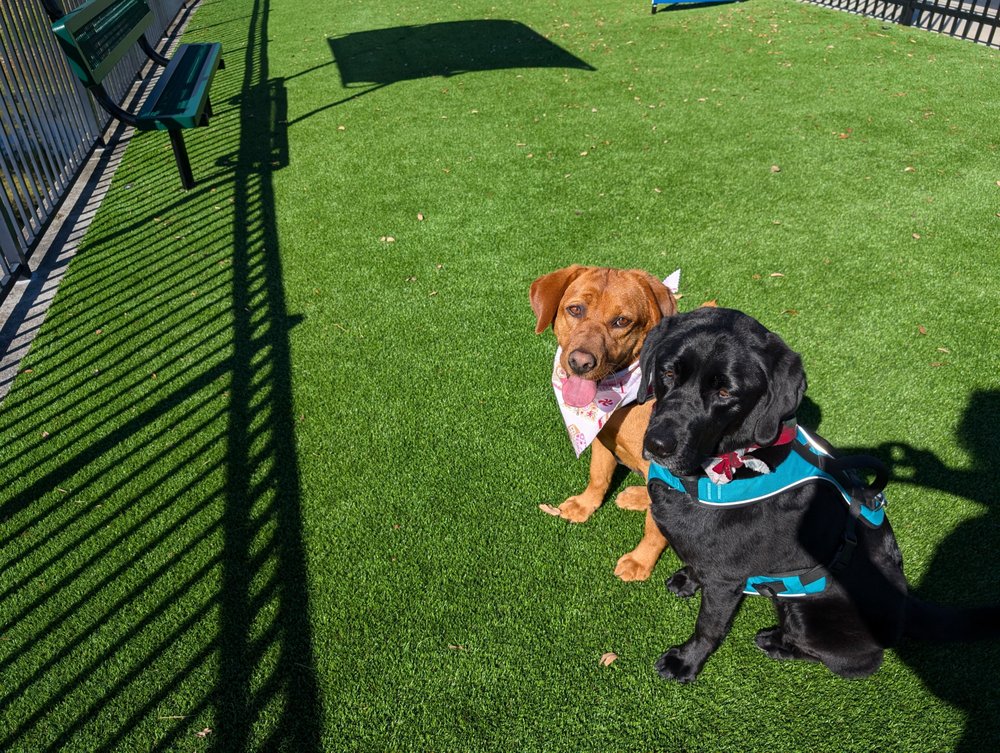 Woof Gang Bakery & Grooming Hamlin Image