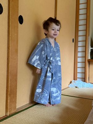 Nishiyama Onsen Keiunkan by null