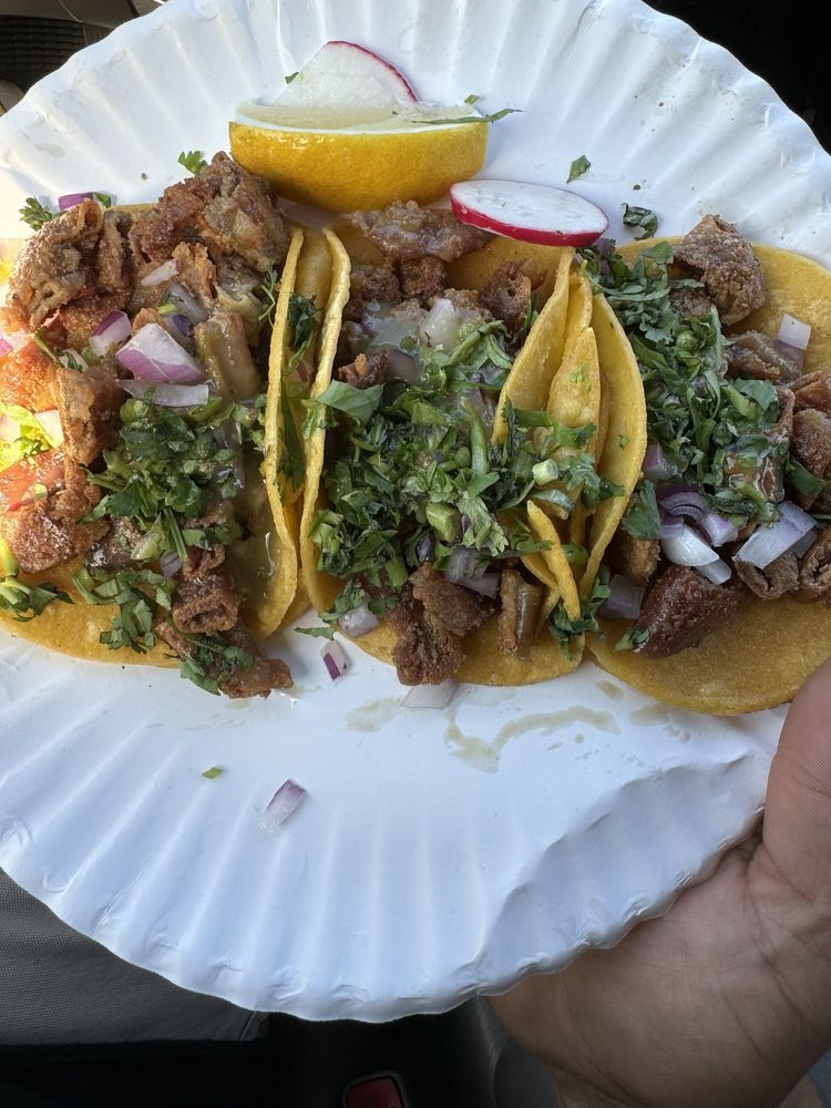 Eighth Street Taco Trucks