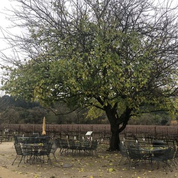 Amista Vineyards - Wine Tours Near Me - Healdsburg, California