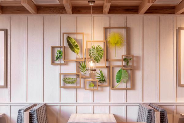 Pacific Catch by null