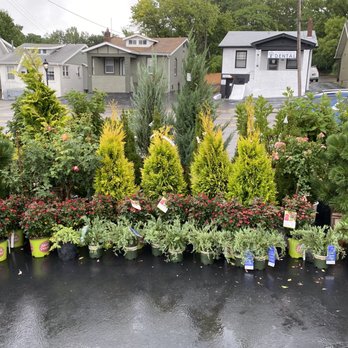 Garden Heights Nursery - I love the arrangements of plants - very well done. - Nurseries & Gardening Near Me - Saint Louis, Missouri Garden Heights Nursery - I love the arrangements of plants - very well done. - Nurseries & Gardening Near Me - Saint Louis, Missouri