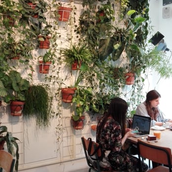 Otto - Breakfast & Brunch Near Me - Milan, Michigan