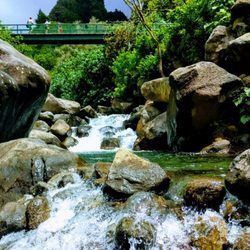 Coastline Limousine - Iao Needle