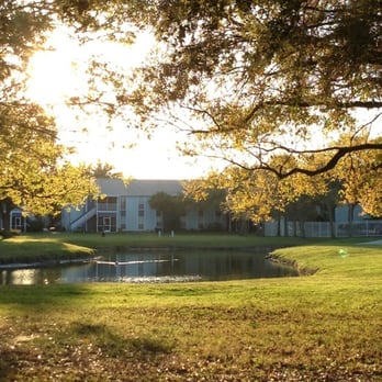 Aventine at Forest Lakes - Apartments Near Me - Oldsmar, Florida Aventine at Forest Lakes - Apartments Near Me - Oldsmar, Florida