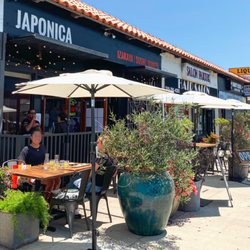 user provided Japonica - Redondo Beach photo