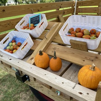 Fritz’s Farm Stand - pumpkins and apples - Food Stands Near Me - Stanardsville, Virginia Fritz’s Farm Stand - pumpkins and apples - Food Stands Near Me - Stanardsville, Virginia