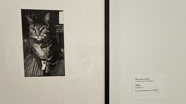 Arkansas Museum of Fine Arts by null