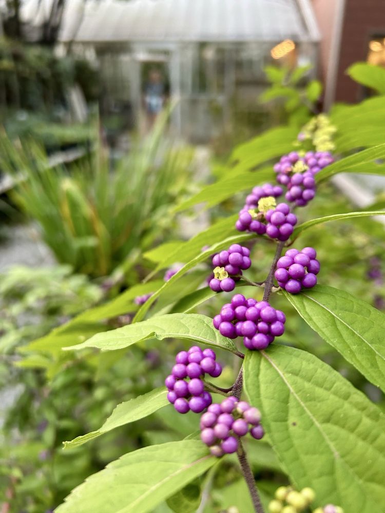 Michler's Florist, Greenhouses & Garden Design