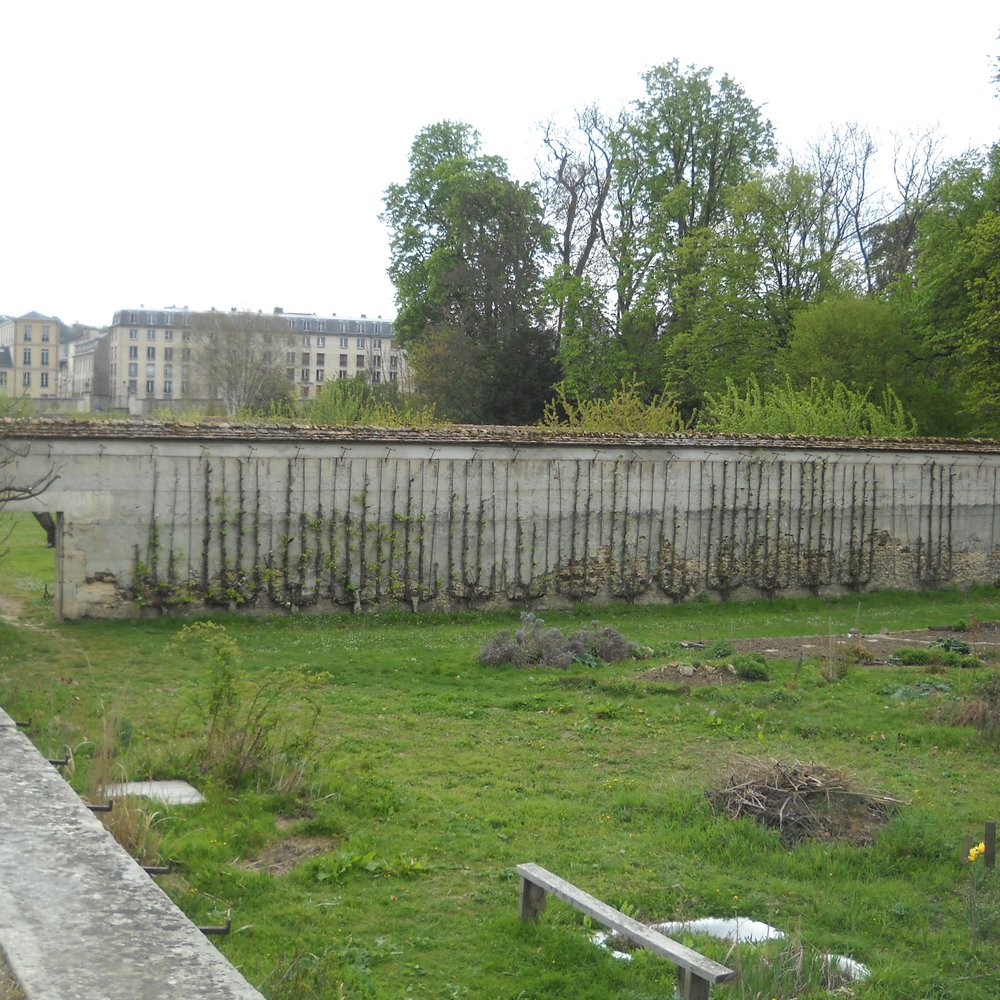 Le Potager du Roi - Botanical Gardens Near Me - Versailles, 78