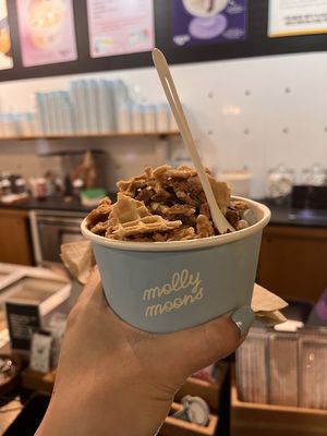 Molly Moon's Homemade Ice Cream Bellevue by null