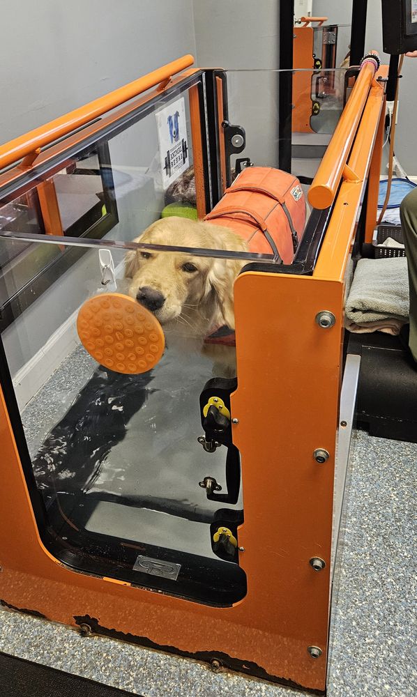 Treasure Coast Animal Rehab & Fitness Image