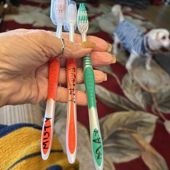 Ak-Sar-Ben Grooming Salon - People tooth brushes are NOT sopose yo be for dogs !!! - Pet Groomers Near Me - Cypress, California