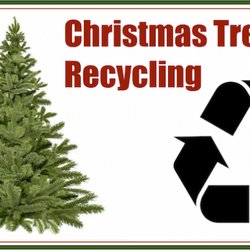 Kocher Home Services - 15 dollar tree pickup and disposal.