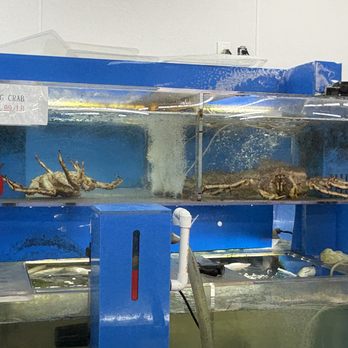 HL Asian Market - Live King Crab in the tank! - International Grocery Near Me - Sarasota, Florida HL Asian Market - Live King Crab in the tank! - International Grocery Near Me - Sarasota, Florida