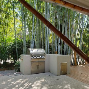 SOUTHERN GARDENS NURSERY - 61 Photos - Nurseries & Gardening - 7777