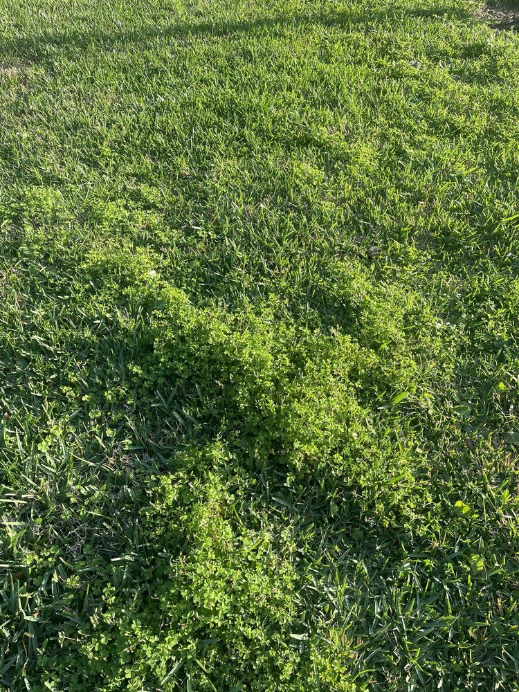 MASSEY SERVICES Updated August 2024 10 Photos 11031 N Main St