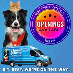 Zoomin Groomin - Mobile pet grooming!