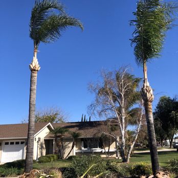 Ortega's Jr Tree Service - Tree Services Near Me - Riverside , California