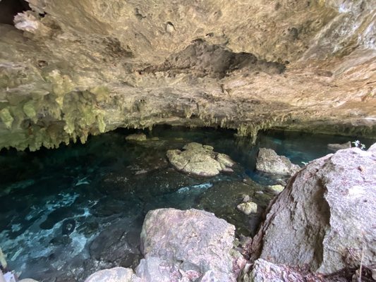 Two Eyes Cenote by null