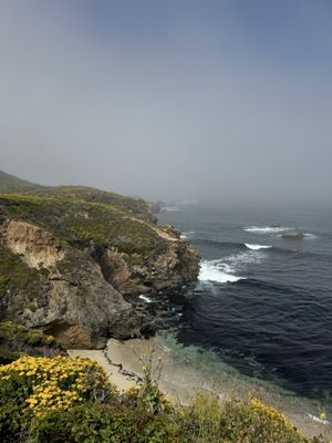Garrapata State Park by null