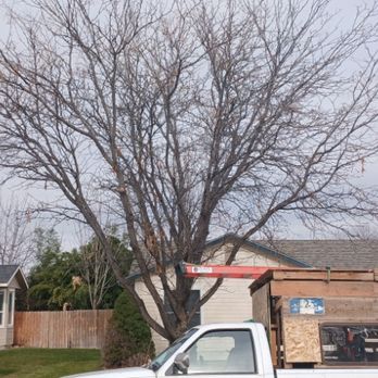 Grove Gurus - Tree Services Near Me - kuna, Idaho Grove Gurus - Tree Services Near Me - kuna, Idaho