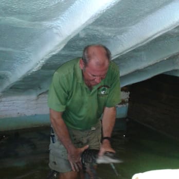 Insta-Gator Ranch & Hatchery - Tours Near Me - Covington, Louisiana Insta-Gator Ranch & Hatchery - Tours Near Me - Covington, Louisiana