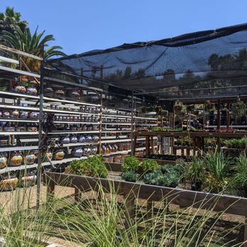 Planter Paradise - Nurseries & Gardening Near Me - El Cajon, California