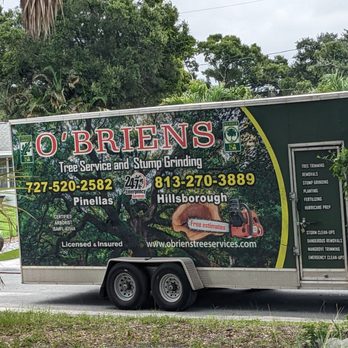 O'Brien's Tree Services - Tree Service - Tree Services Near Me - Saint Petersburg, Florida O'Brien's Tree Services - Tree Service - Tree Services Near Me - Saint Petersburg, Florida