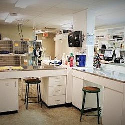 Animal Hospital of Pitt County