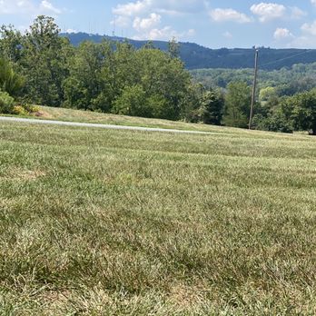 Jefferson Vineyards - Wineries Near Me - Charlottesville, Virginia Jefferson Vineyards - Wineries Near Me - Charlottesville, Virginia