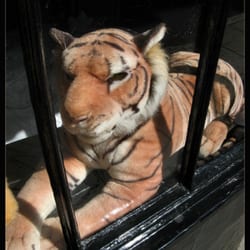 Tiger Garden