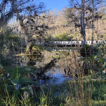 Big Cypress Gallery - Art Galleries Near Me - Ochopee, Florida