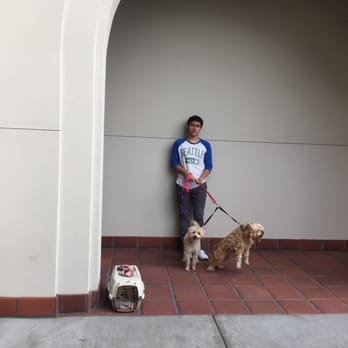 Pasadena Humane - Waiting! - Animal Shelters Near Me - Pasadena, California Pasadena Humane - Waiting! - Animal Shelters Near Me - Pasadena, California