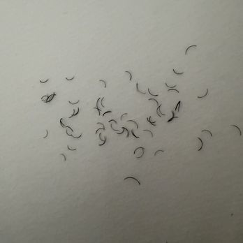 Hanah's Lash - less than 24 hours, my lashes fell out - Eyelash Service Near Me - Houston, Texas Hanah's Lash - less than 24 hours, my lashes fell out - Eyelash Service Near Me - Houston, Texas