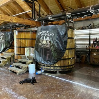 Leiper's Fork Distillery - The resident kitty "Bourbon" - Distilleries Near Me - Franklin, Tennessee