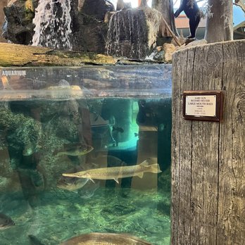 Bass Pro Shops - Outdoor Gear Near Me - Dania, Florida