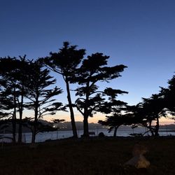 Lake Merced