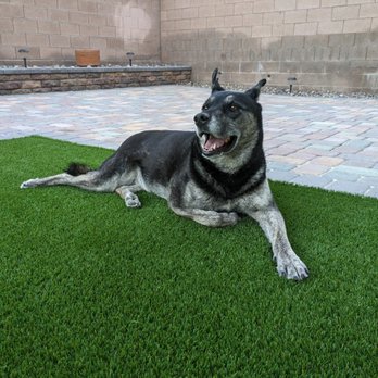 GT Professional Services - Enjoying the new grass - Masonry/Concrete Near Me GT Professional Services - Enjoying the new grass - Masonry/Concrete Near Me